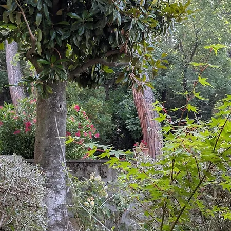 Turistico Villino Ines